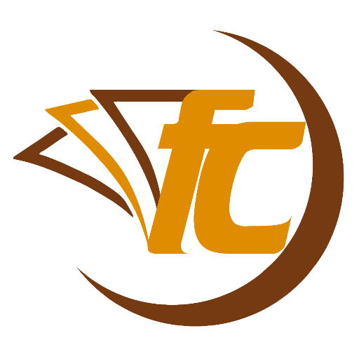 Fricity Capital Ltd logo