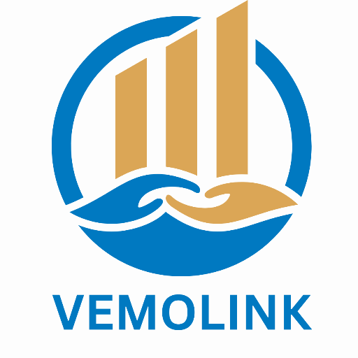 Vemolink Capital Ltd logo
